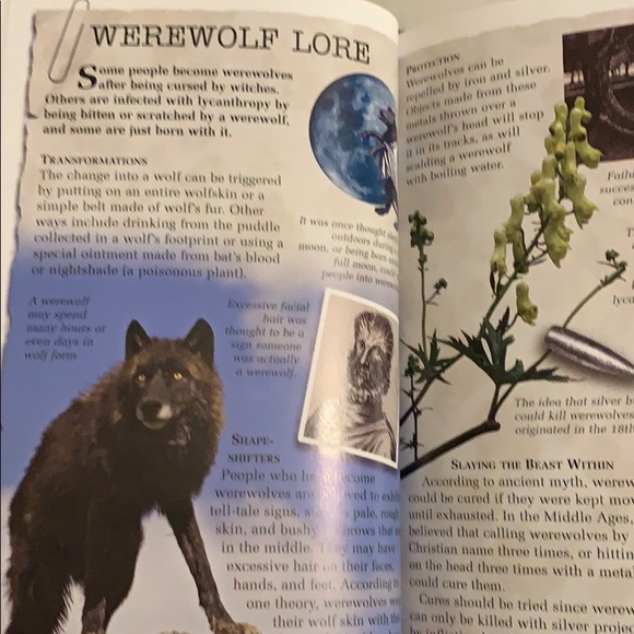 Graphic text. Werewolves tales. reluctant… - Picture 4 of 5